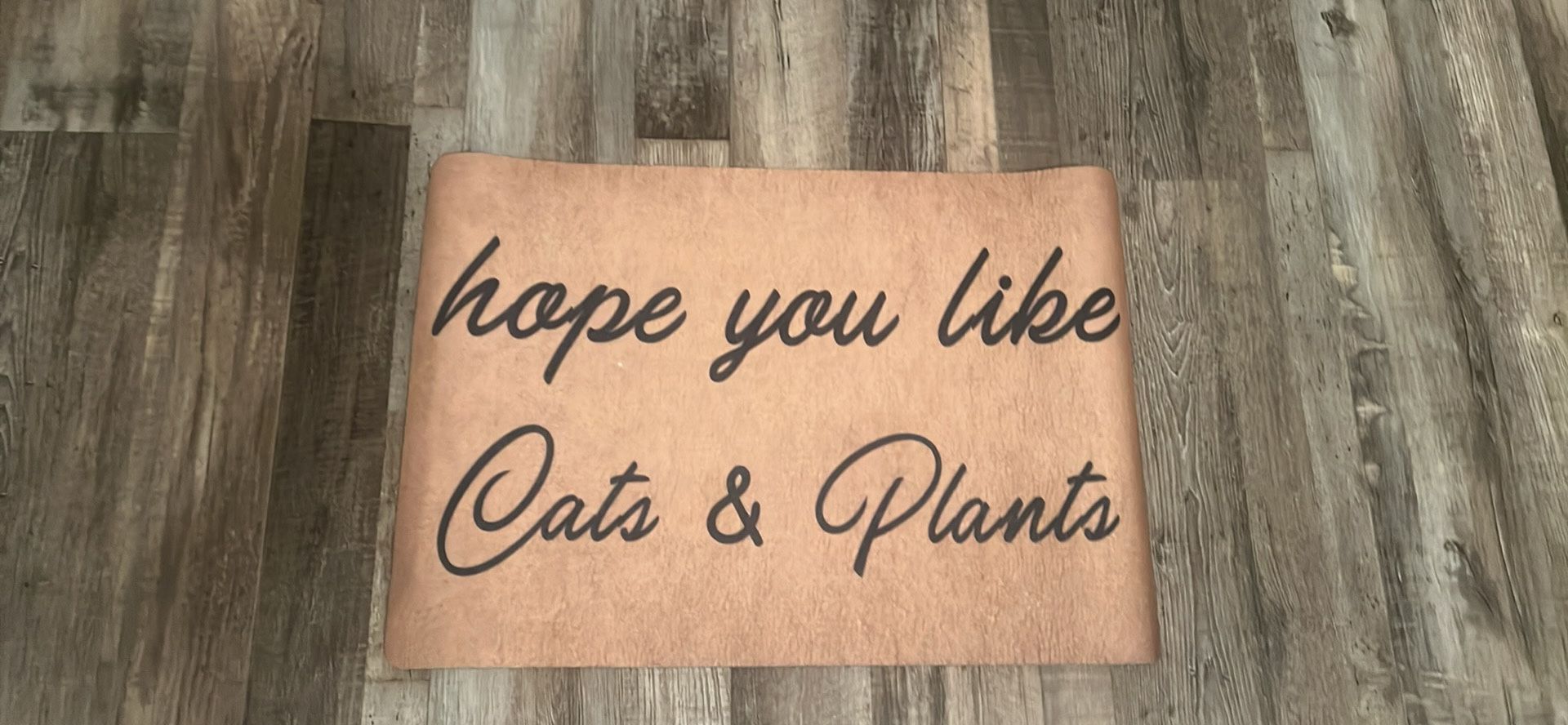 Soft Entryway Doormat 12.5x20