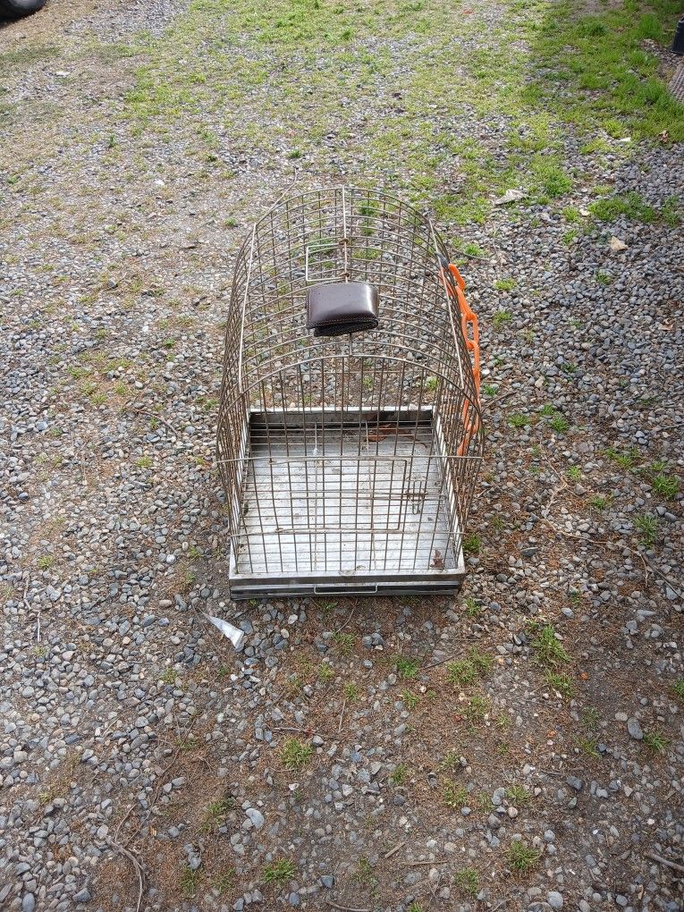 Bird Cage