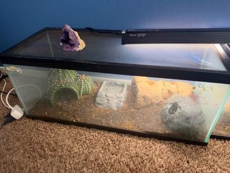 Reptile Supplies/Tank