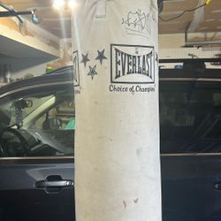 Everlast Punching Bag