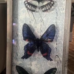 Butterfly Art