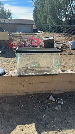 Reptile tank