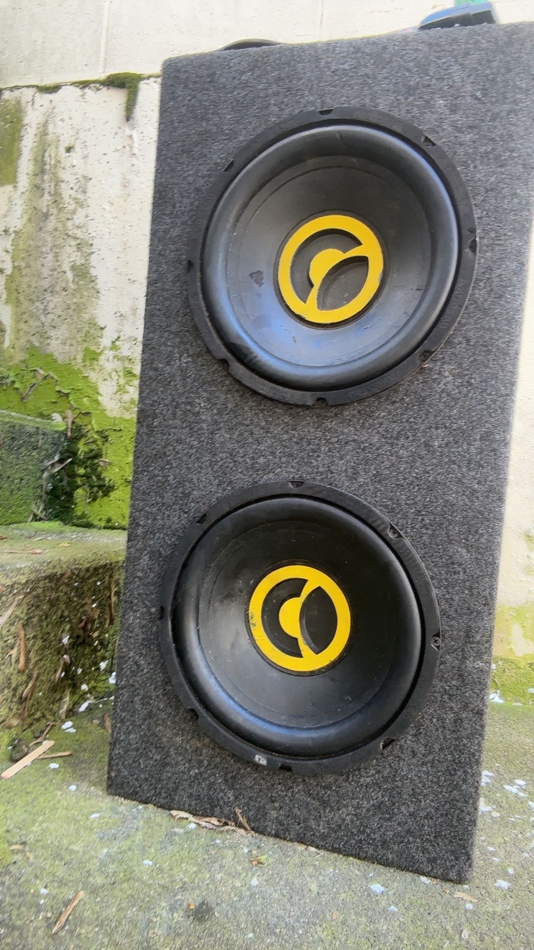 Subwoofer 2 10”in Speakers Dual Connection 