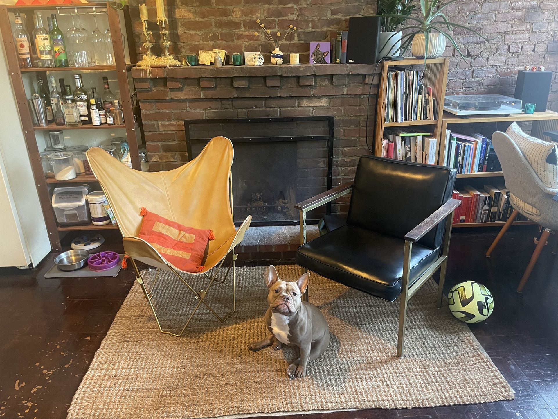 100% leather butterfly chair (Urban Outfitters)