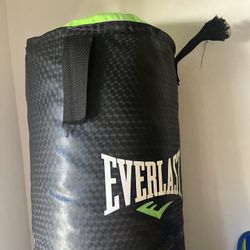 Everlast Punching Bag 