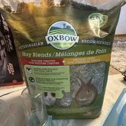 Guinea Pig & Lizard Items 