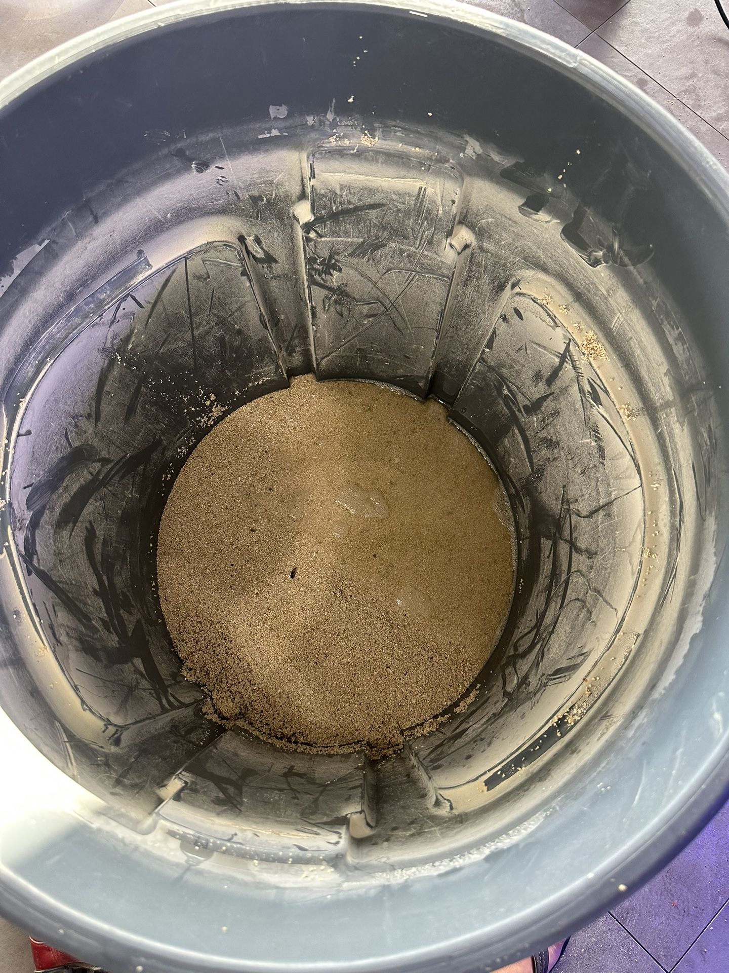 Live Sand For Reef Tank… Free!