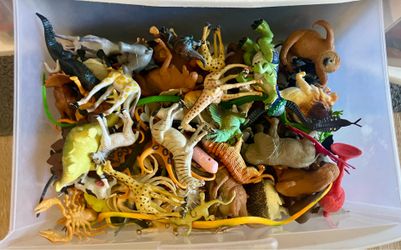 Lots of Animals. 25451 Boxelder dr 92563