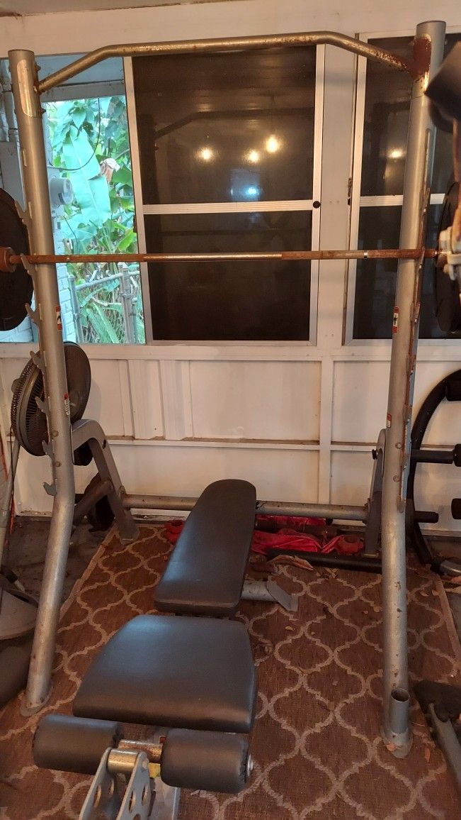 Weight Rack, Bench, Olympic Bar, And Olympic Weights