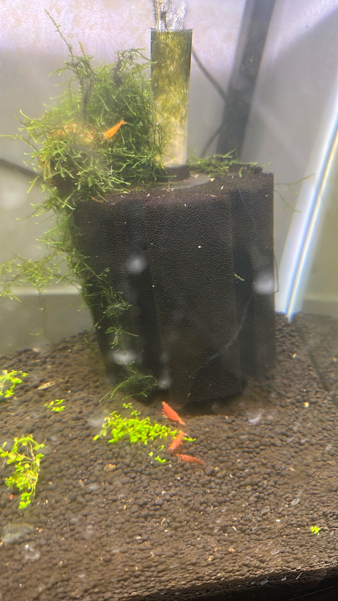 Bio Ball Aquarium Tank Starter Sponge Filter