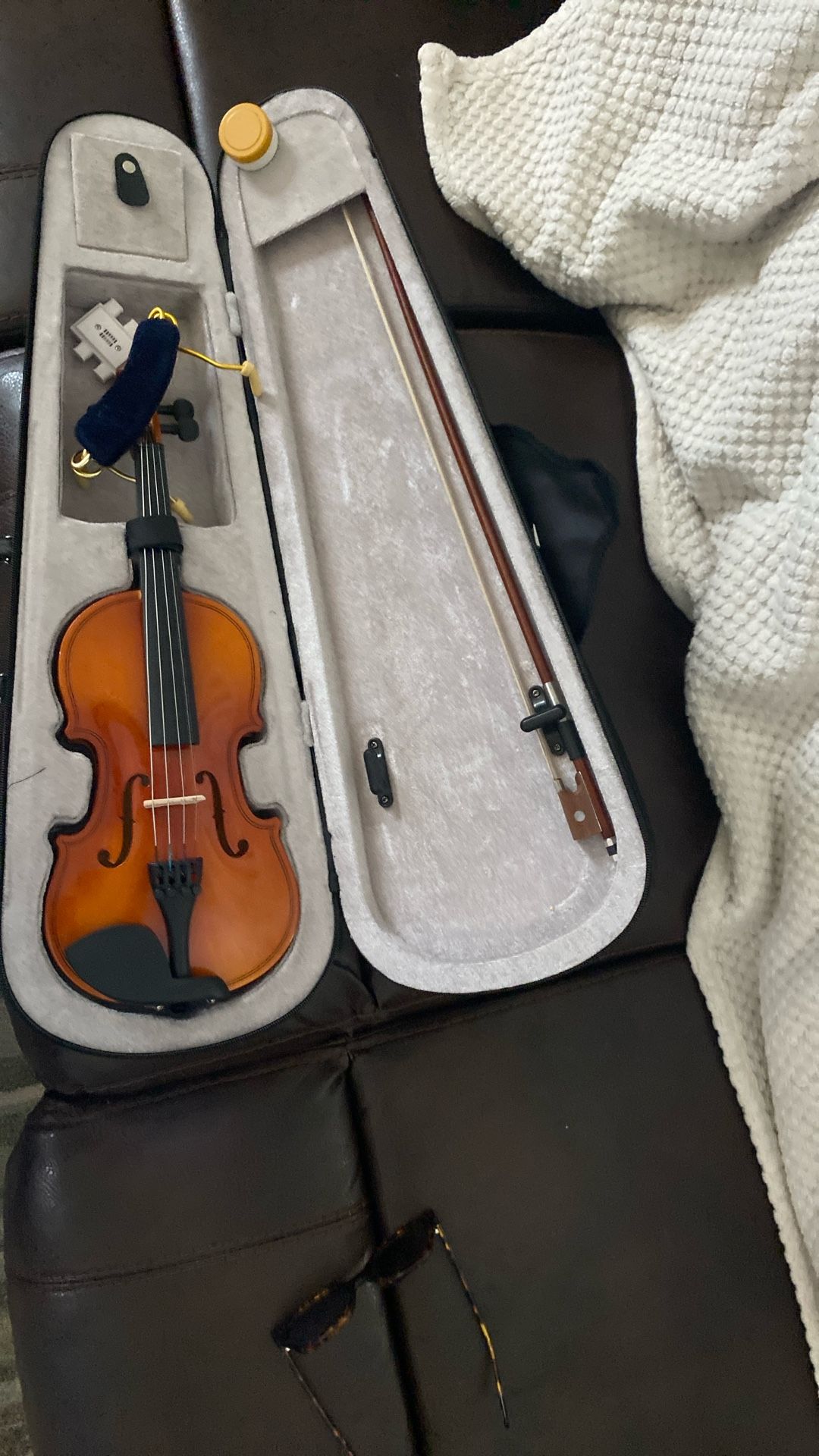 Violin
