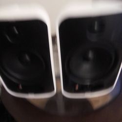 Sonos|Sonance Outdoor Speakers