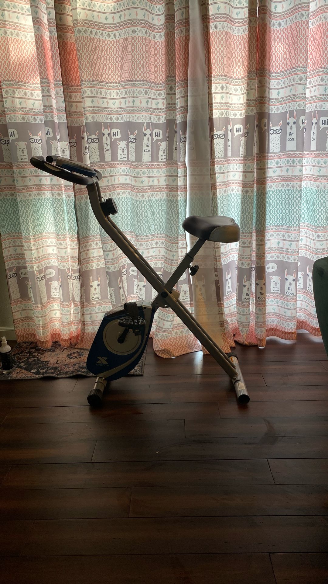 Exercise Bike Xterra
