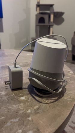 google home