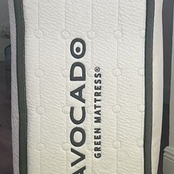 Organic Avocado Twin XL Mattress 