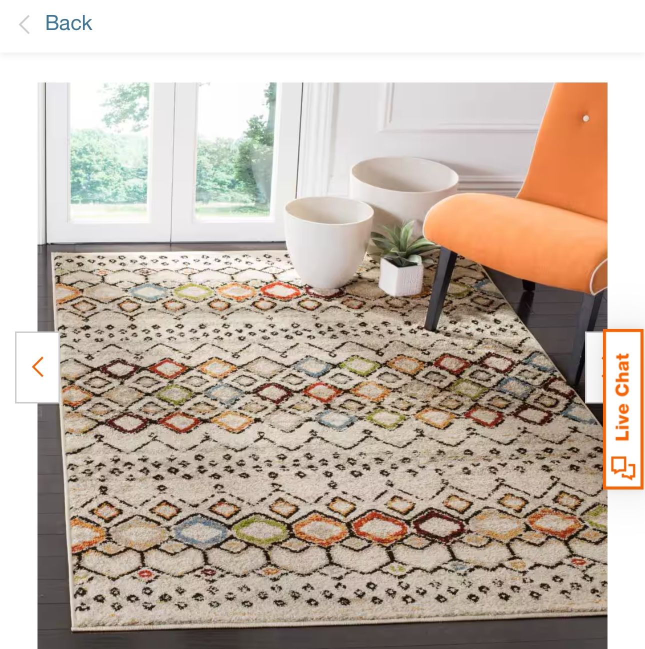 Safavieh Amsterdam Ivory Multi Rug 8 X 10