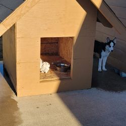 Dog House 