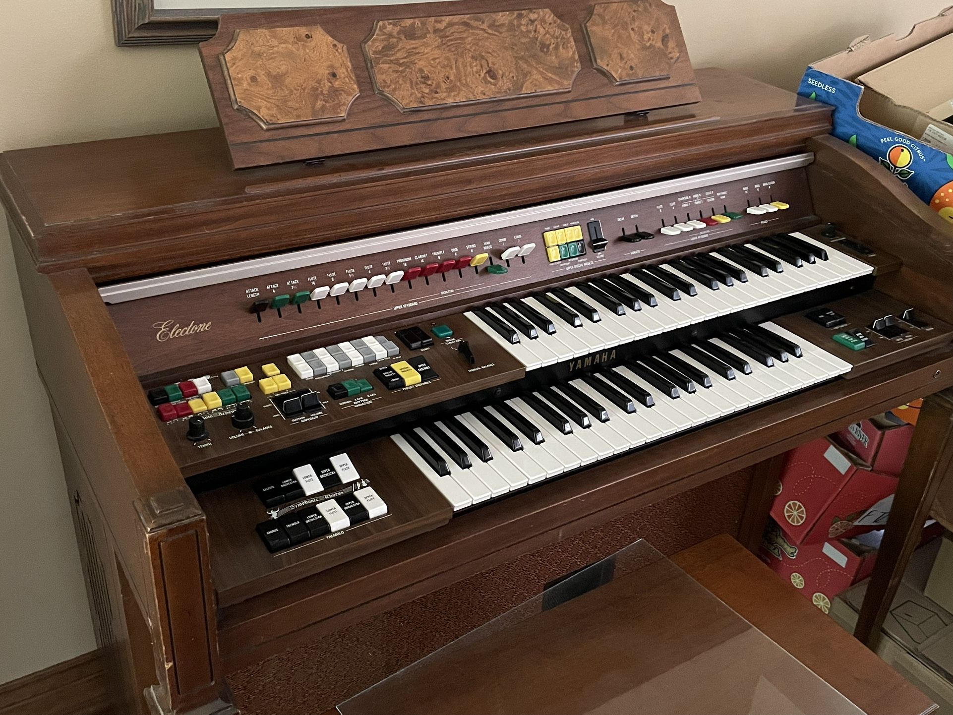 Electric Organ