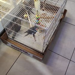 Bird Cage For Cockatiels 