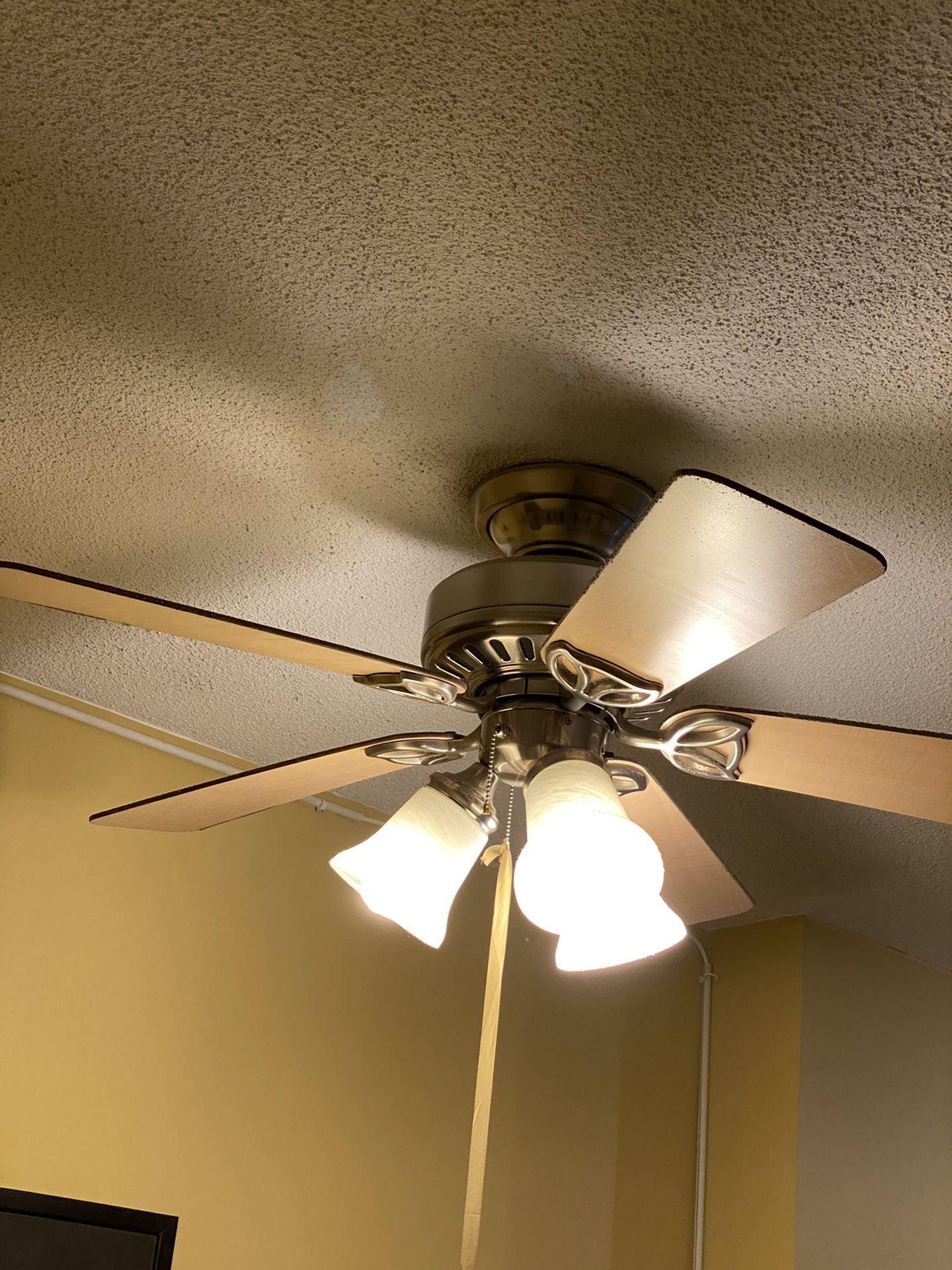 Ceiling Fan With Lights For Only 30$