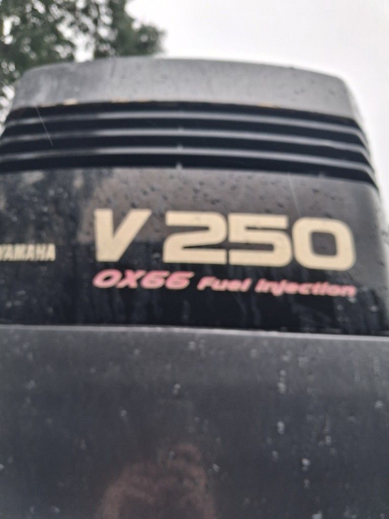 2001 Yamaha Ox66