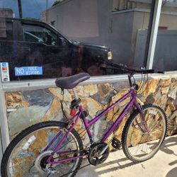 Purple Adult Bike 