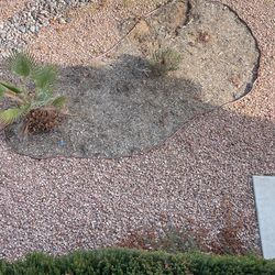 Free Rocks