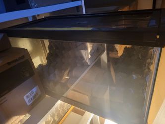 10 gallon tank