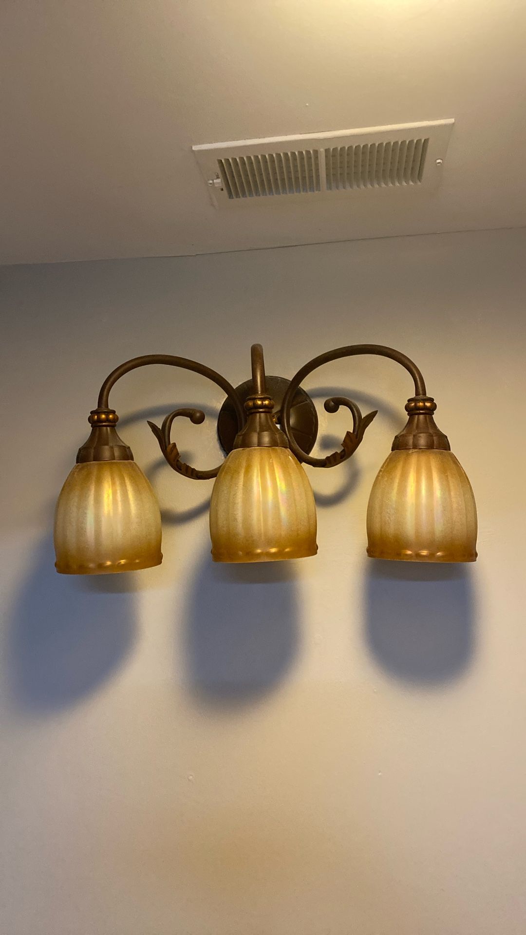 Vanity Light Fixture