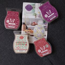 Scentsy Bar Fall/Winter Bundle - NEW!