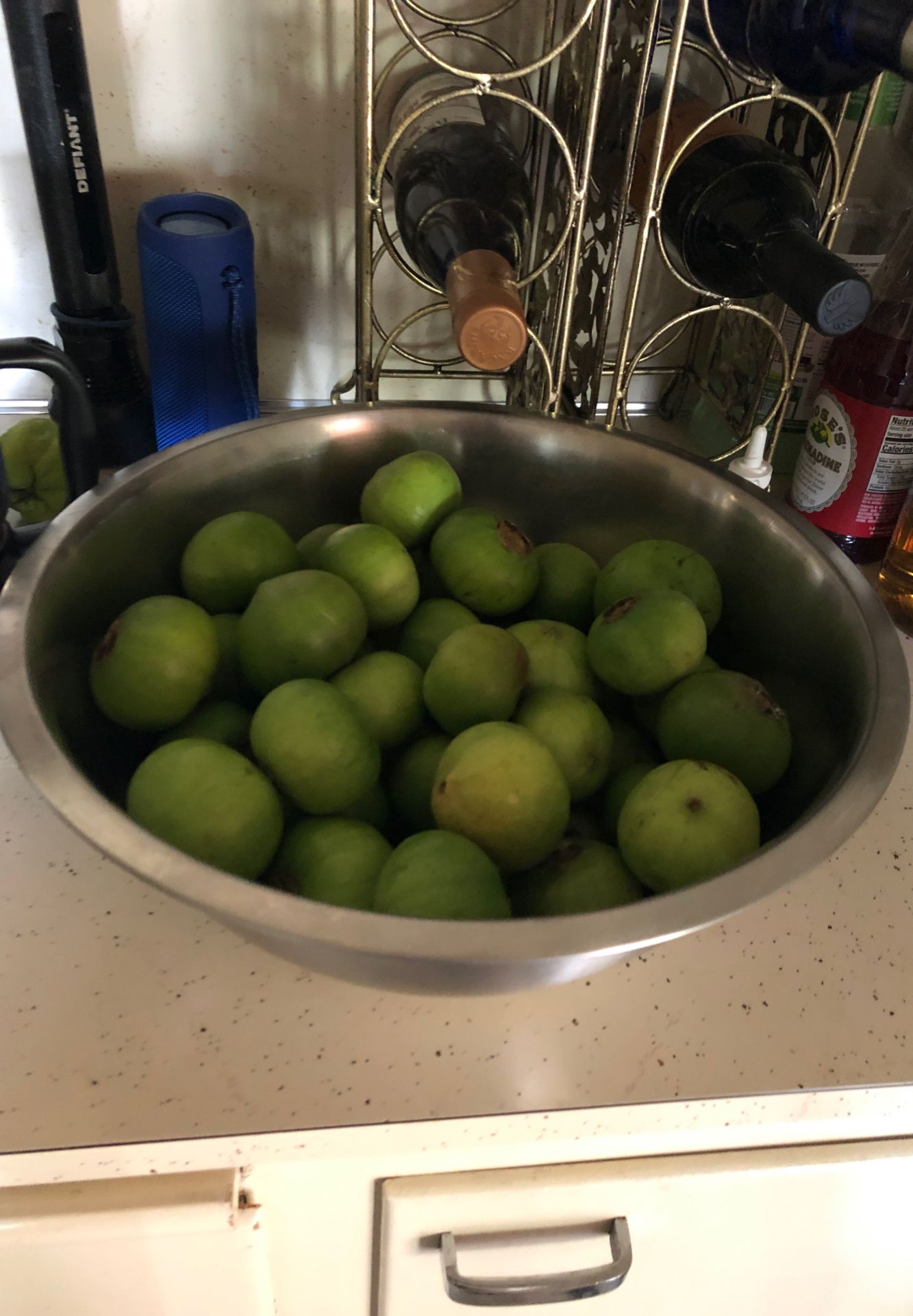 Free guavas
