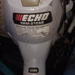 Echo Pole Saw  Working Condition 250.00 
