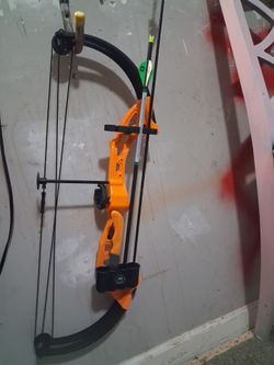 Youth compound bow