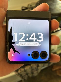 Motorola 2024