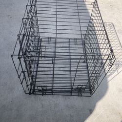 Home Dog Zice 18 X24 Enchest 