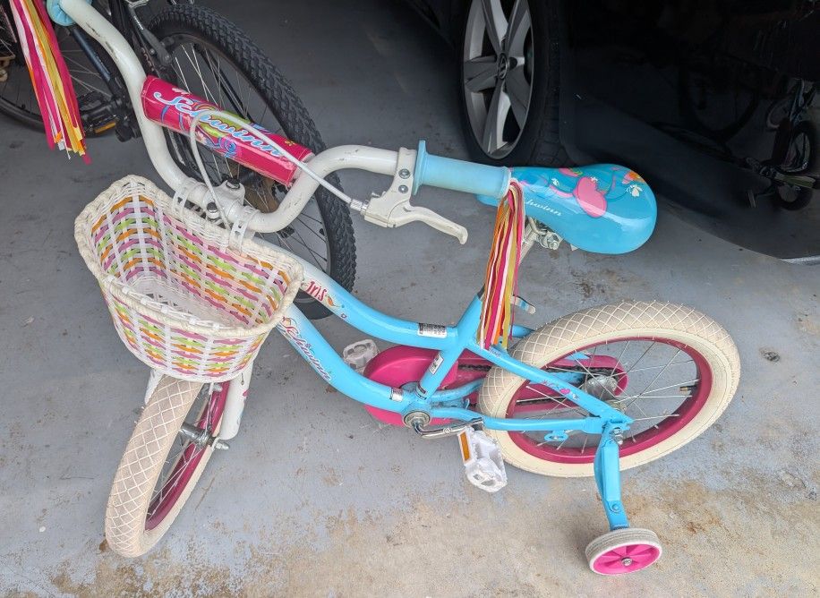 Schwinn Iris Bicycle
