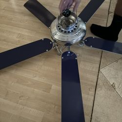 Ceiling Fan 