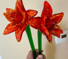 Glass ,, 10 flowers