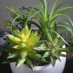 Artificial Short Succulents 