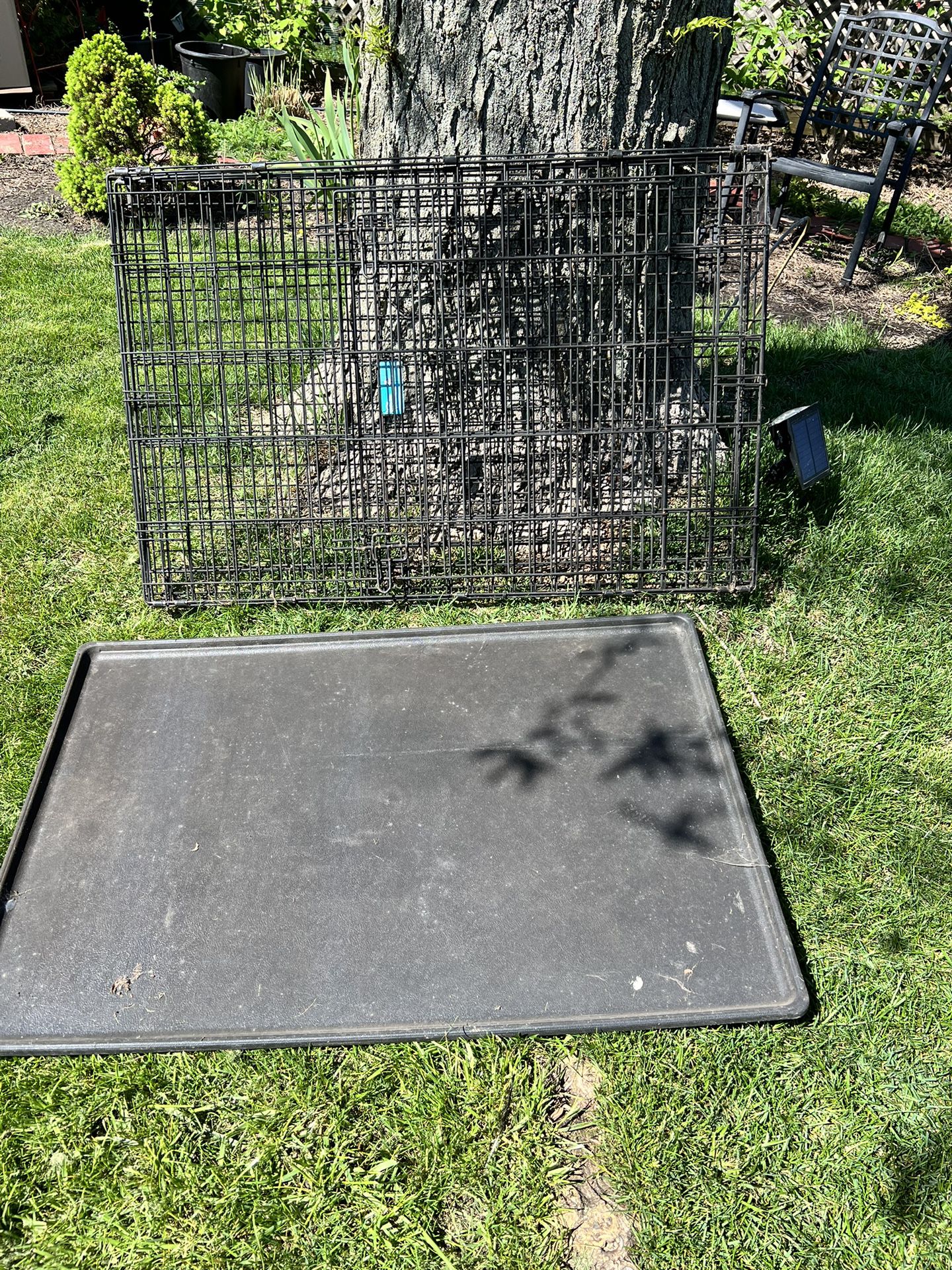 Large Dog Cage Good Condition 