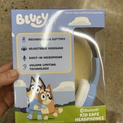 NWT Bluet kids Bluetooth wireless headphones