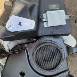 Bosnias con amplification