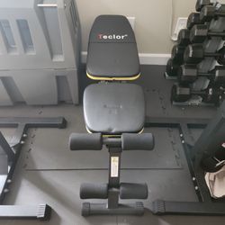 Weight Bench