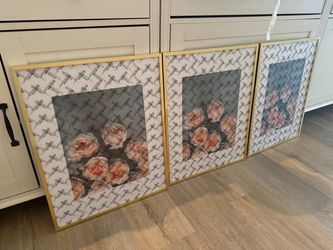 3 Gold Acrylic Frames 16x20