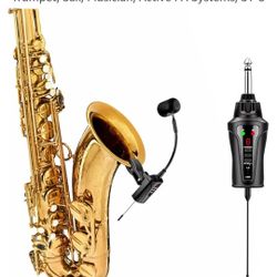 Music Instrument Microphone 