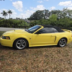 2002 Ford Mustang