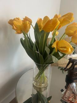 Yellow tulip display