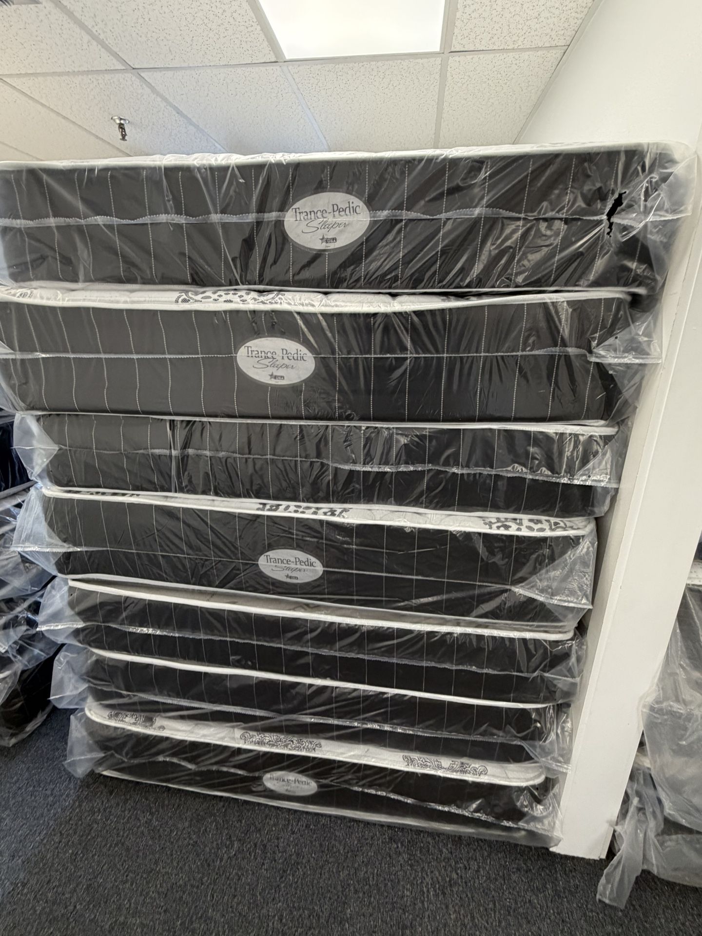 QUEEN GRAND PROMOTION TAMPA BAY