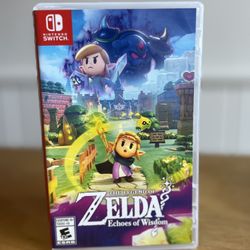 Zelda Echoes Of Wisdom 