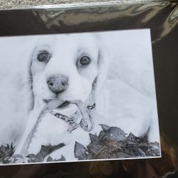 Realistic Graphite Pencil Drawings, Puppy - Beagle, Printed And Matted, Size 11x14 